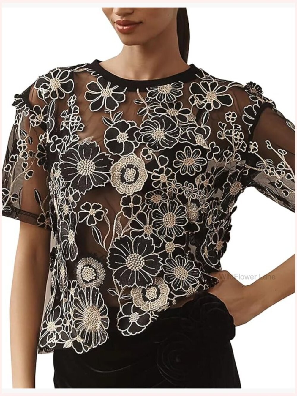 Embroidered 3D Floral Short Sleeve Sheer Lace Blouse Tunic Top